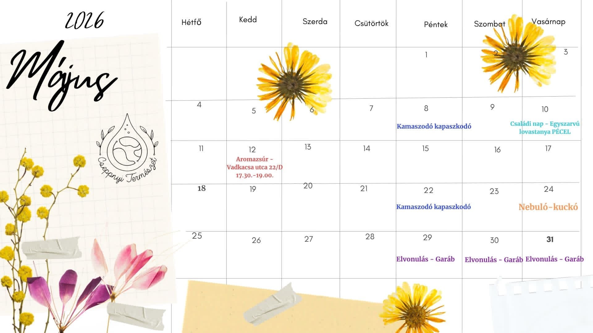 kineziológisa programok május<br />
